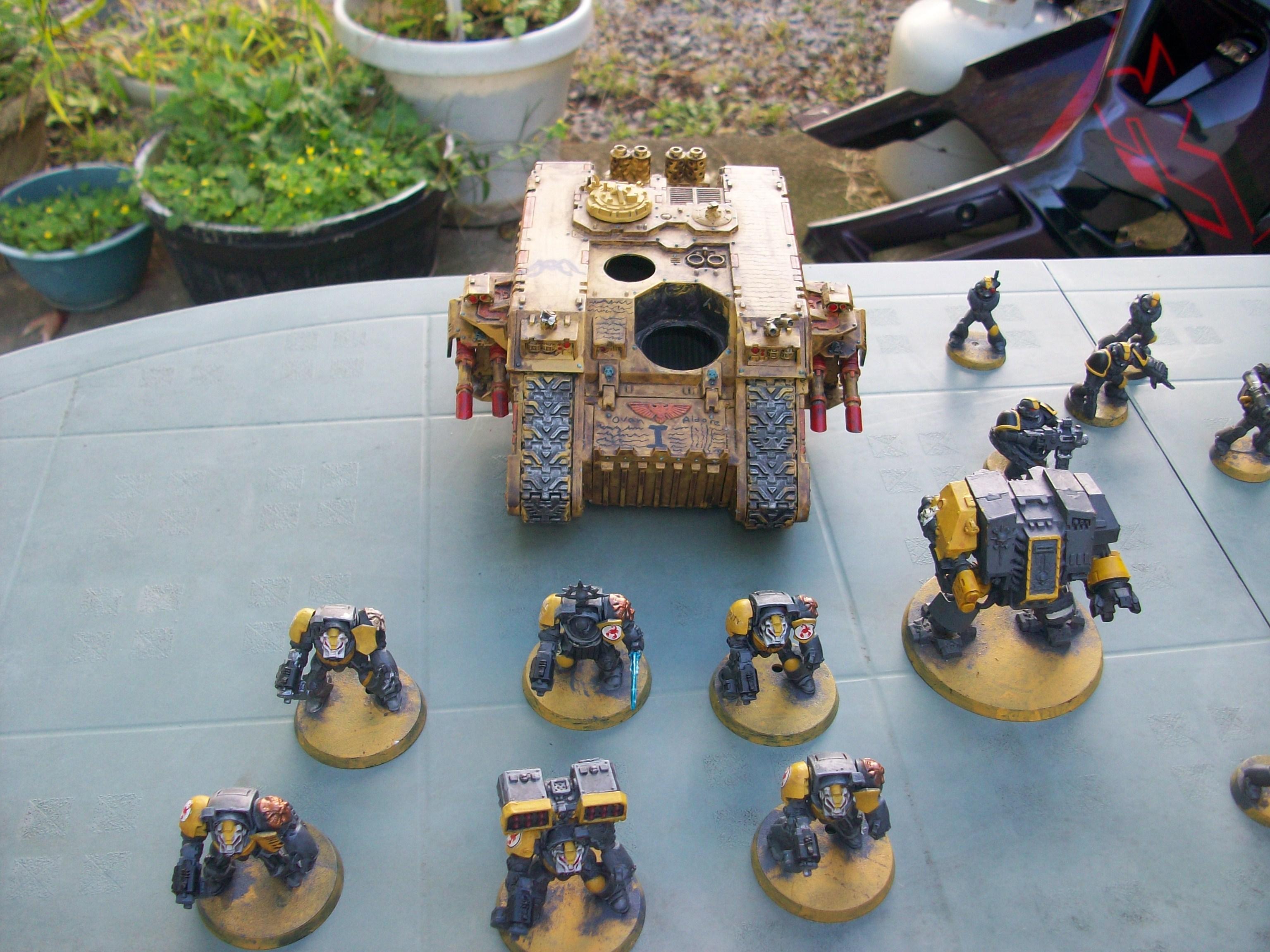 termies and raider