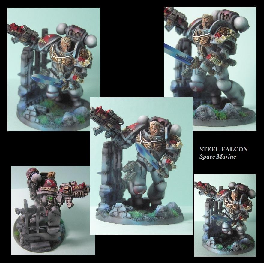 Space Marines, Steel Falcon