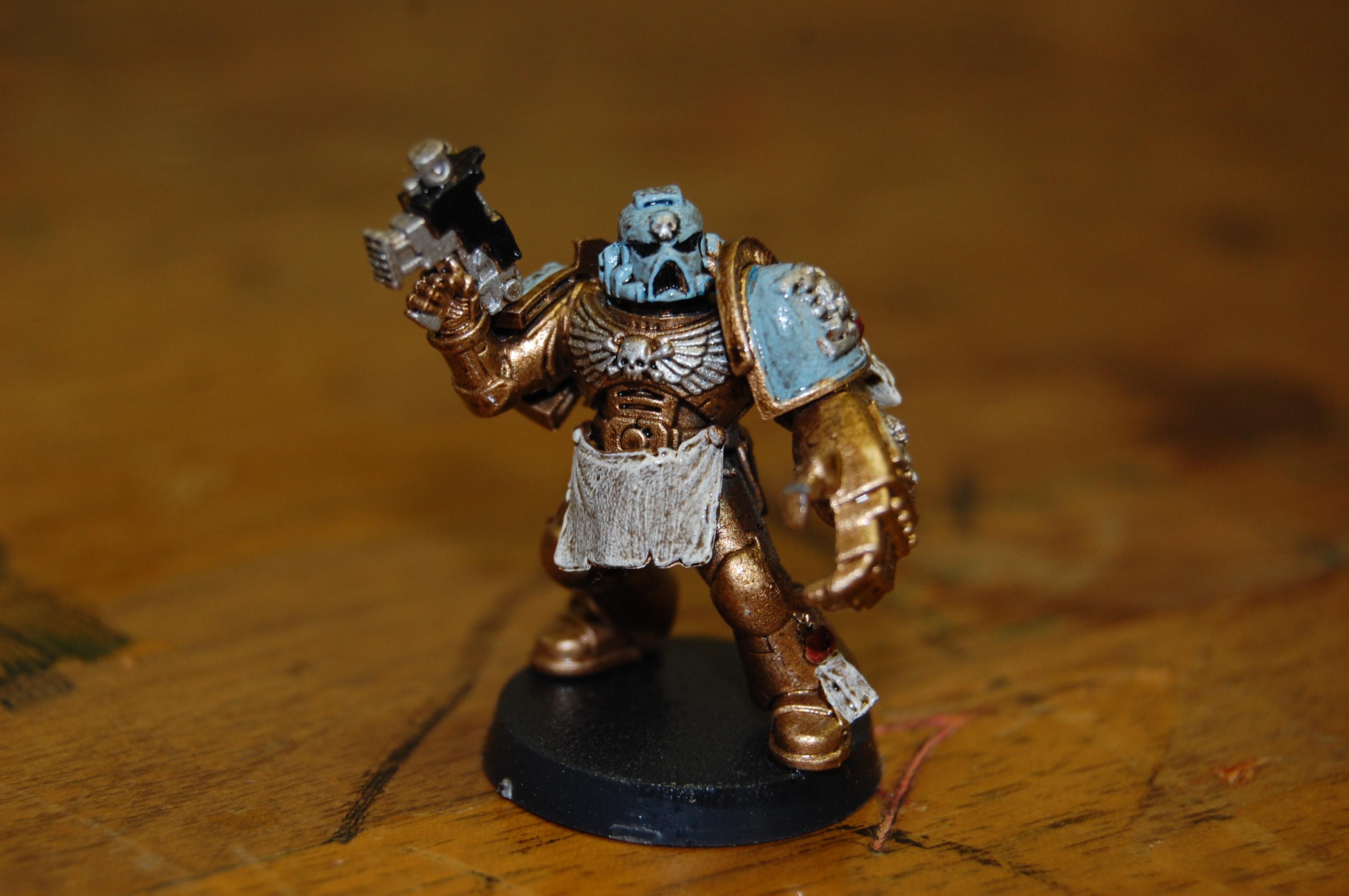 Celestial Lions, Drybrush, Hawk Lord, Space Marines, Warhammer 40,000