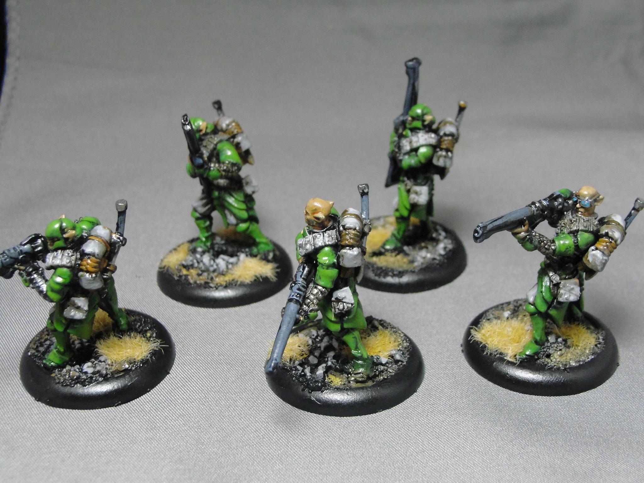 Warmachine, Retribution of Scyrah, Houseguard Riflemen