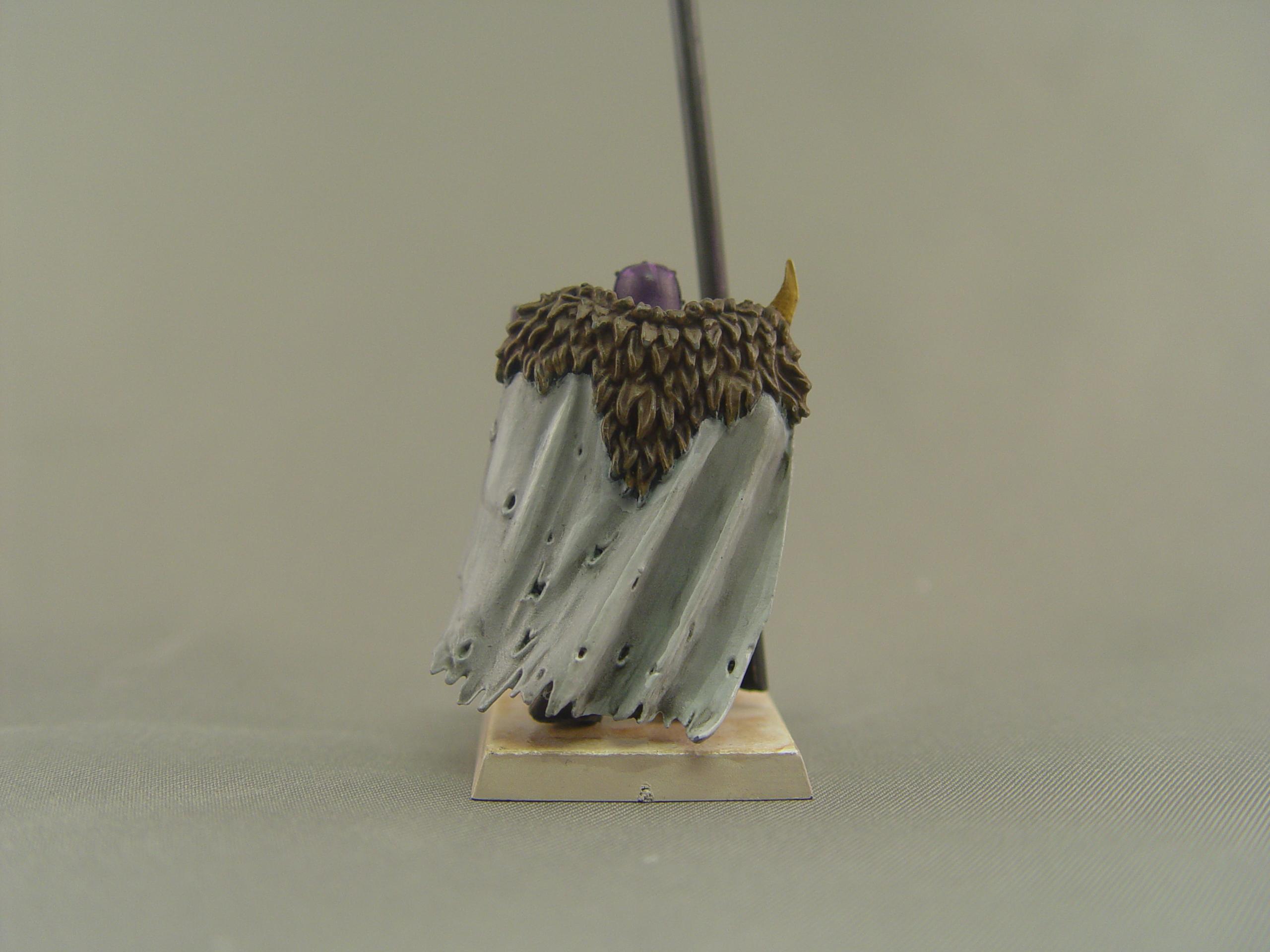 Back, Cape, Cloak, Slaanesh, Warhammer Fantasy, Warriors