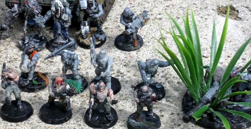 Imperial Guard