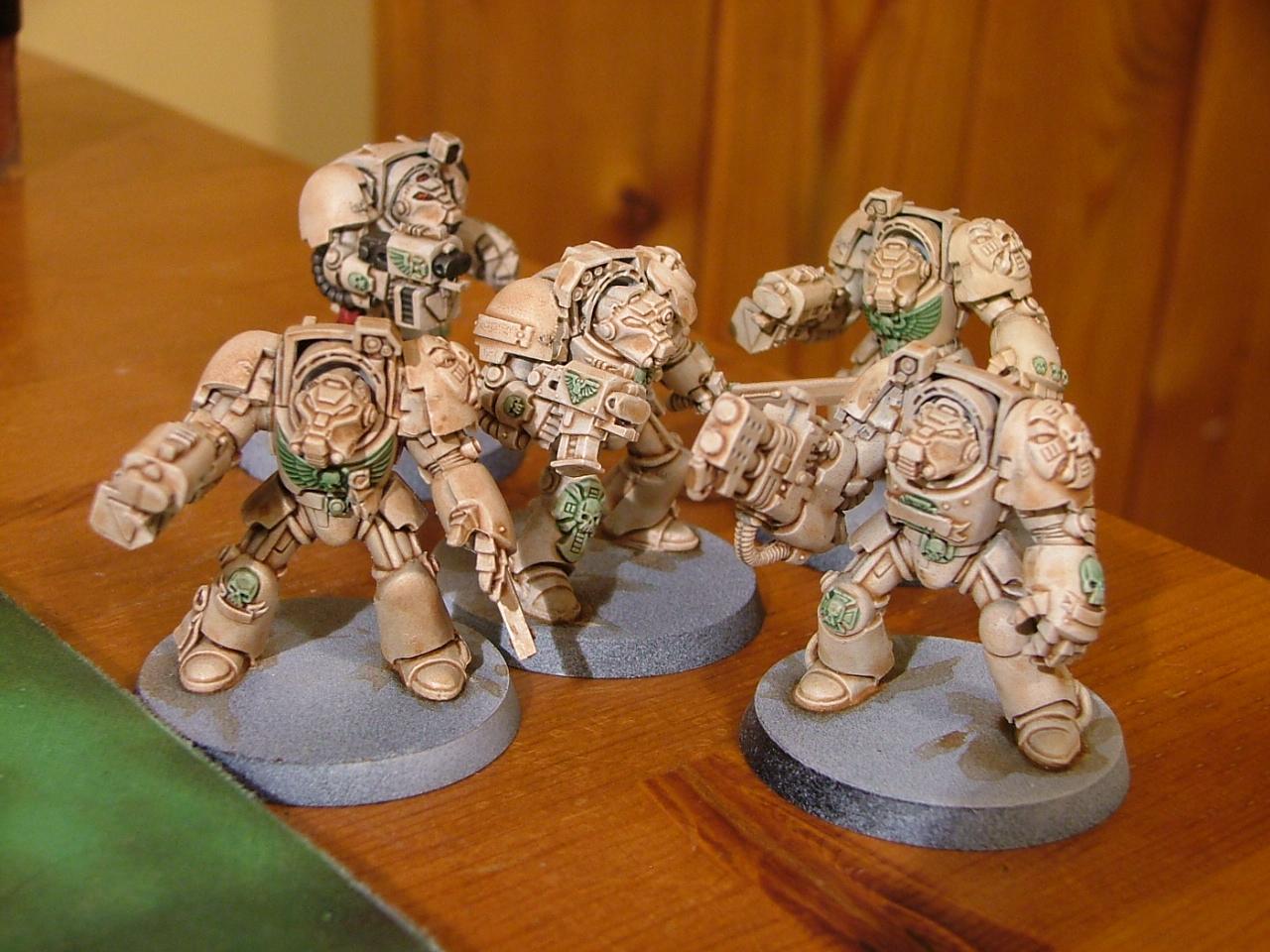 Wip terminators