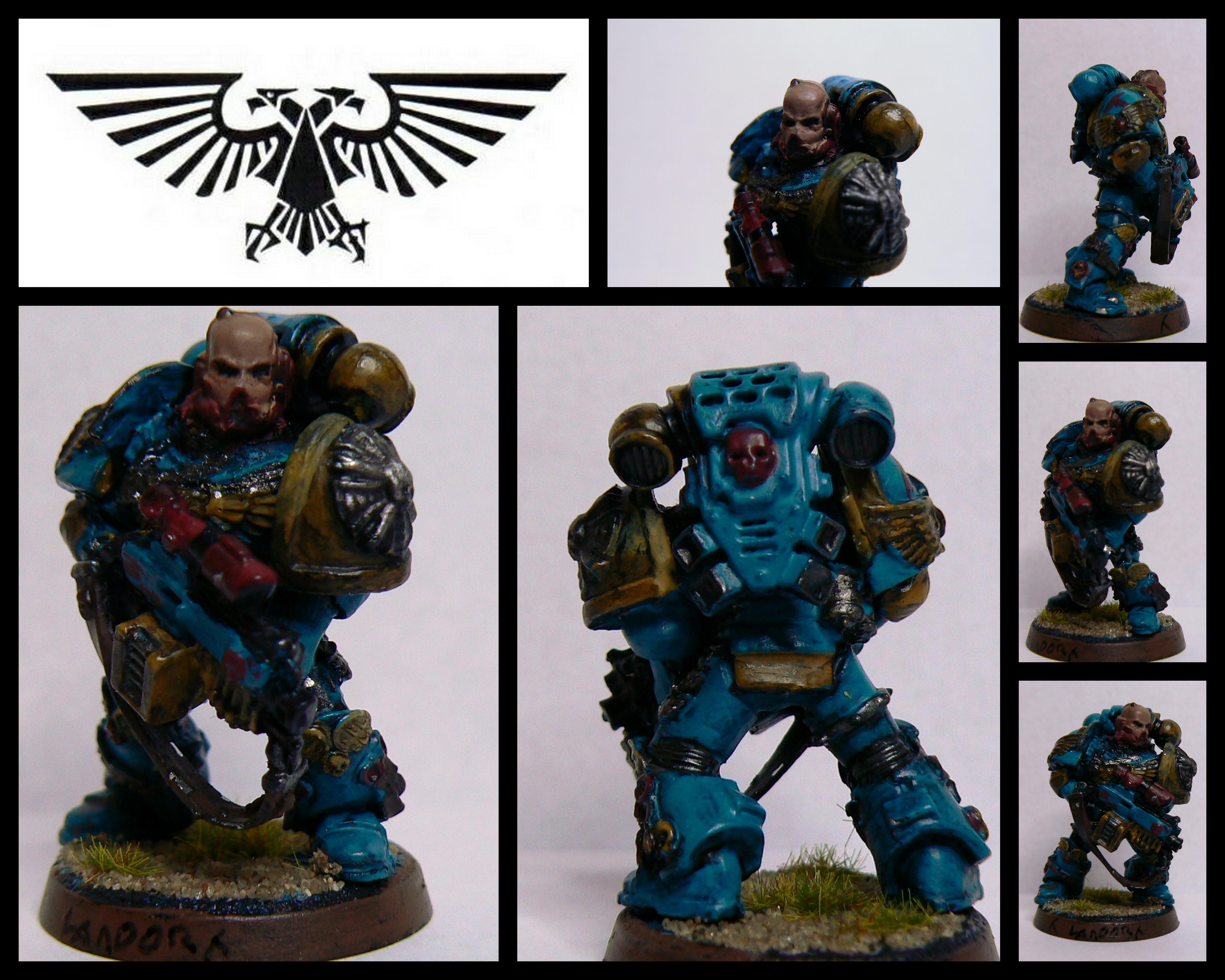 Space Marines, Veteran
