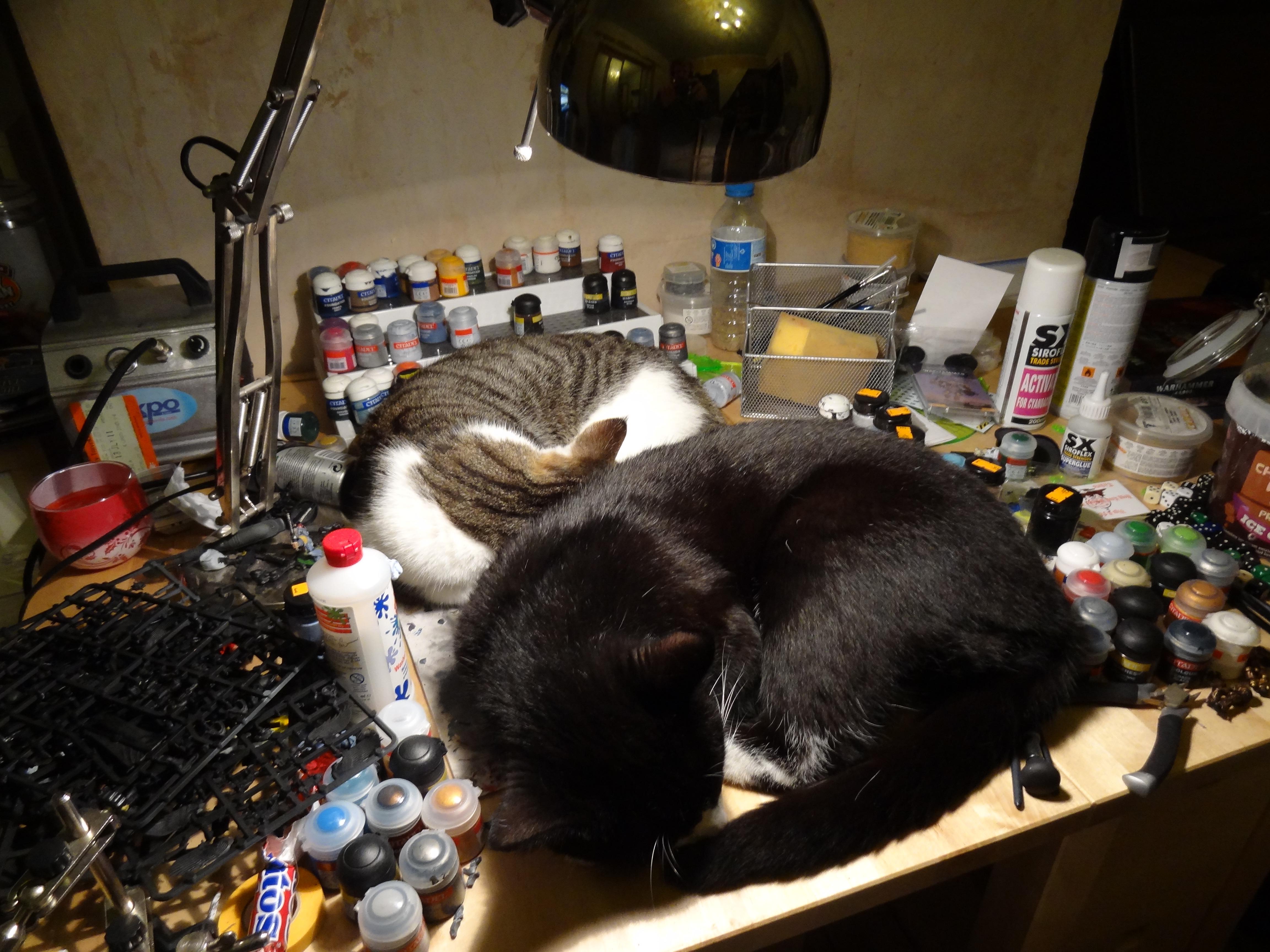 Cats, Interruptions, Paint Desk, Warhammer 40,000