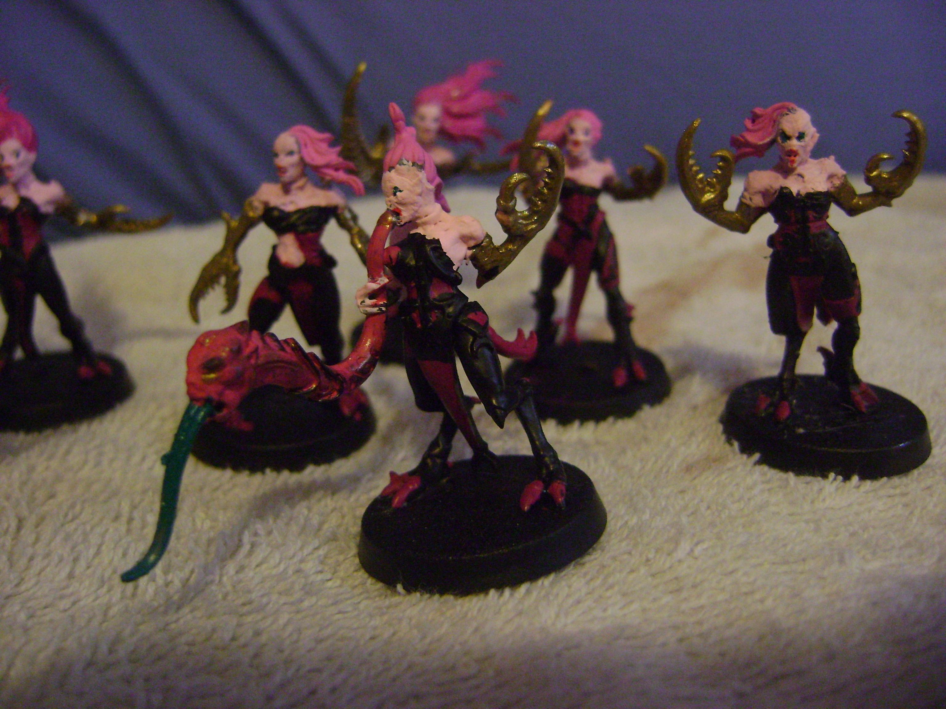 Warhammer Fantasy