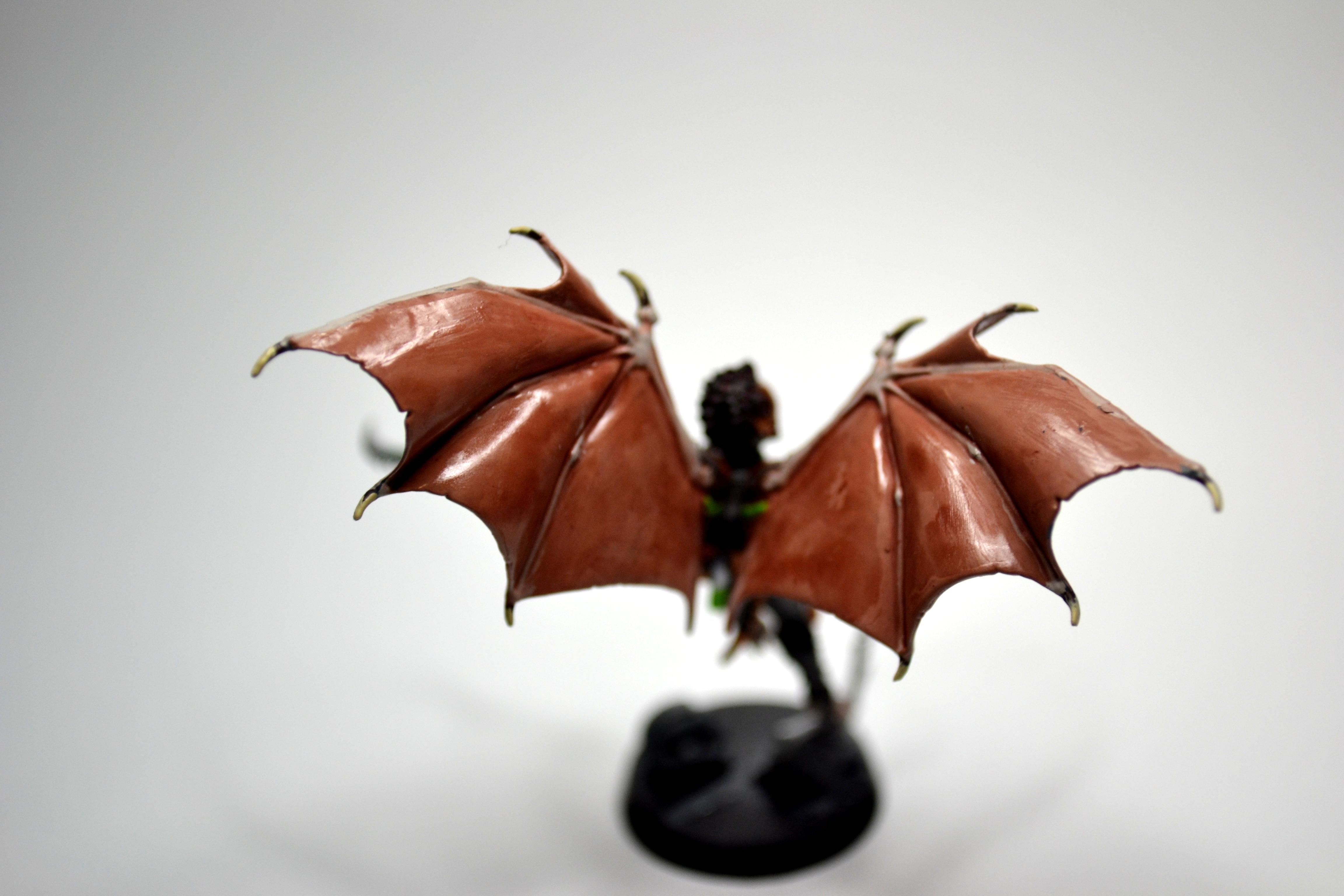 Dark Eldar, Detail on The Duke's Wings