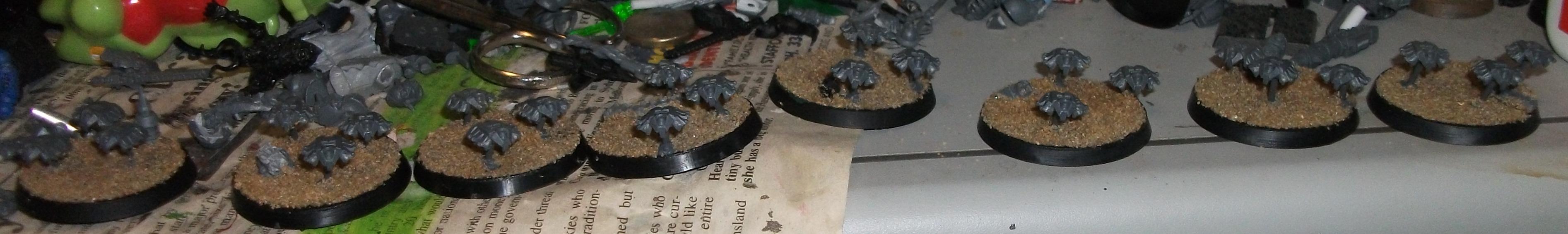 Scarabs!