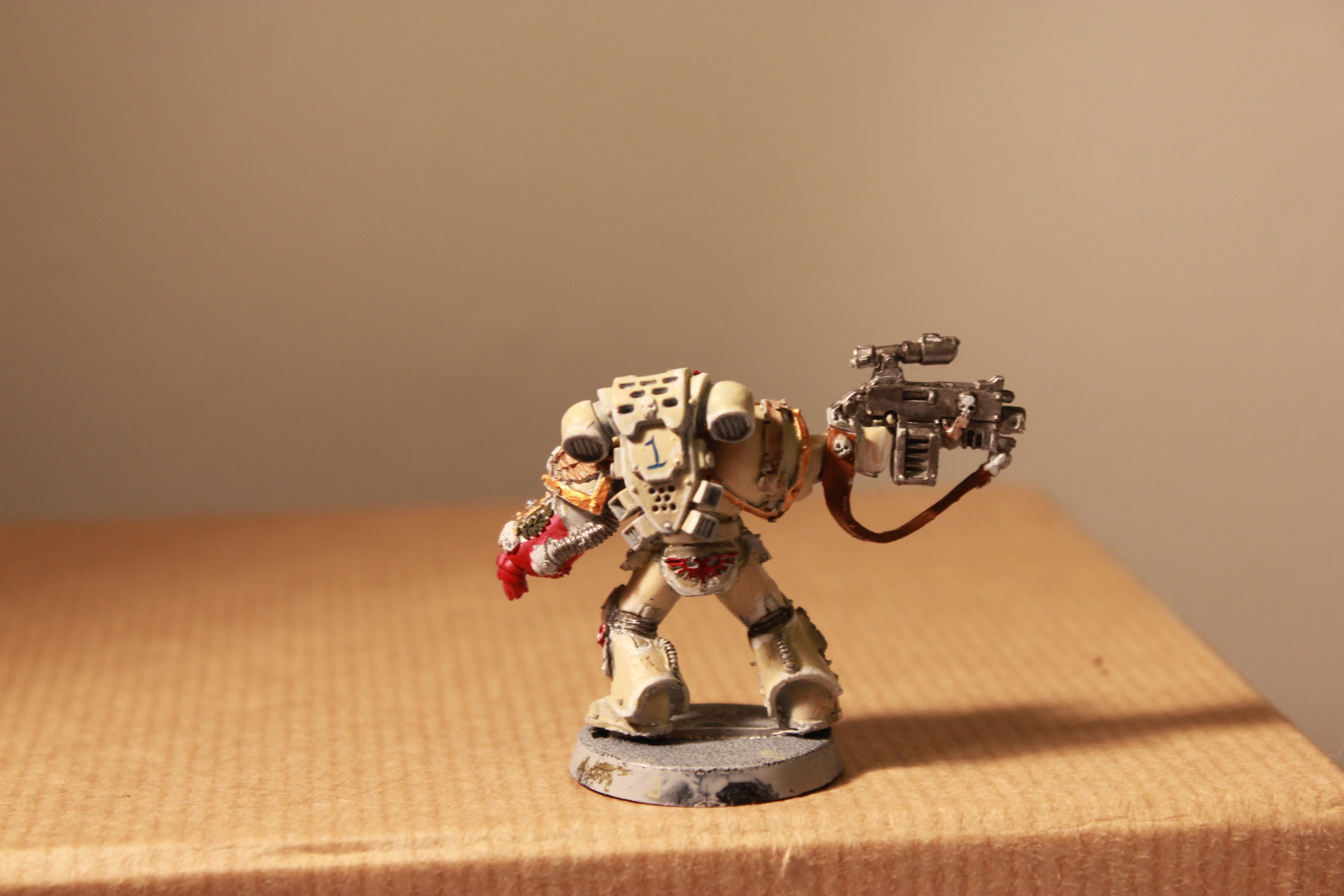 Screaming Eagles Sternguard 