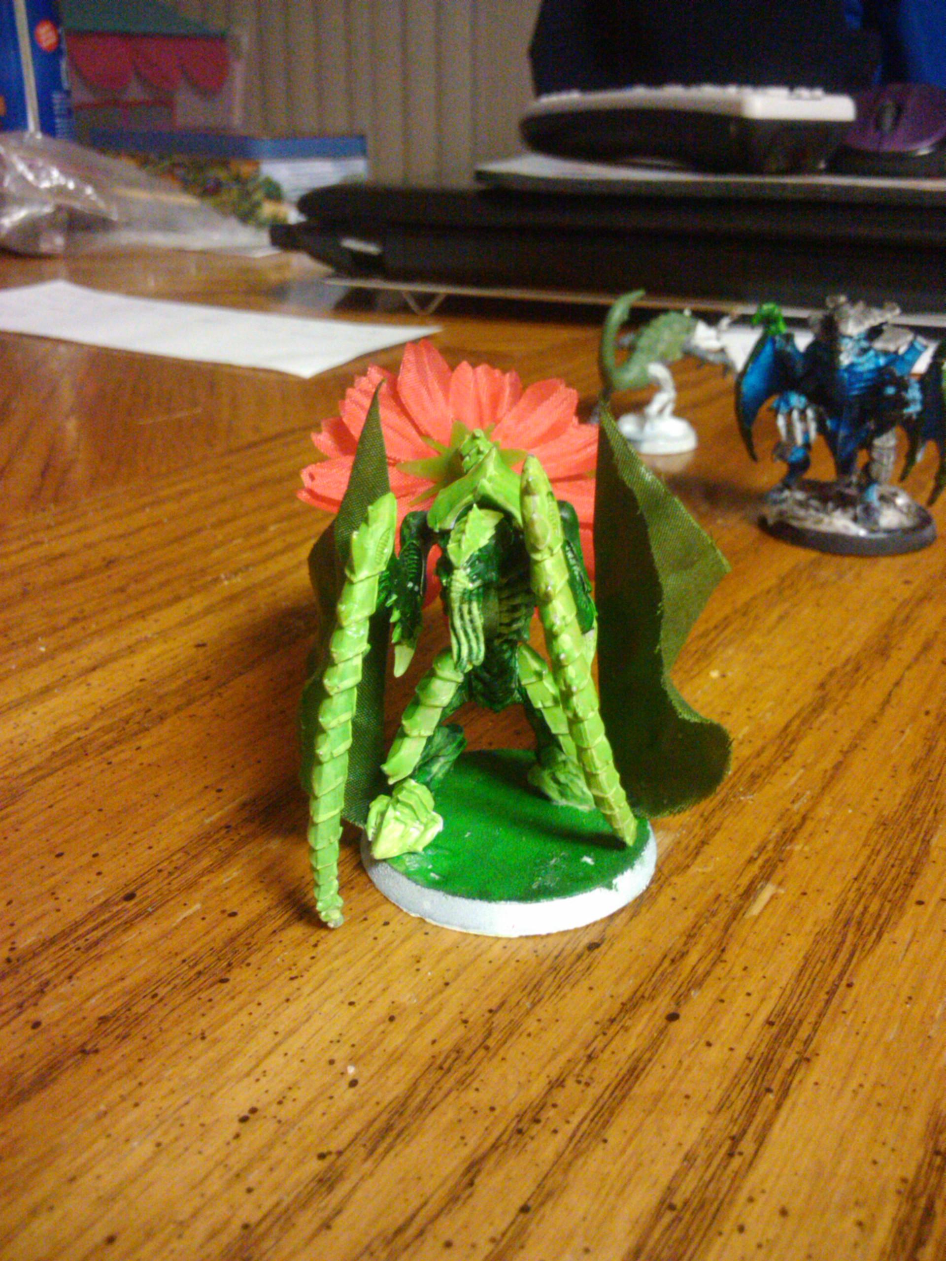 lictor front 