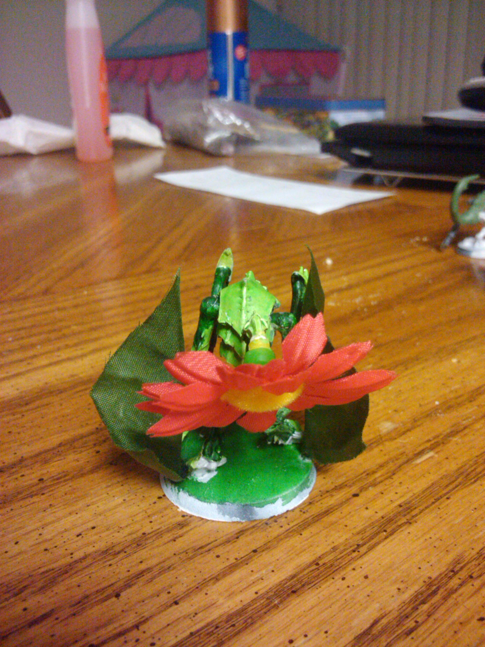 lictor back