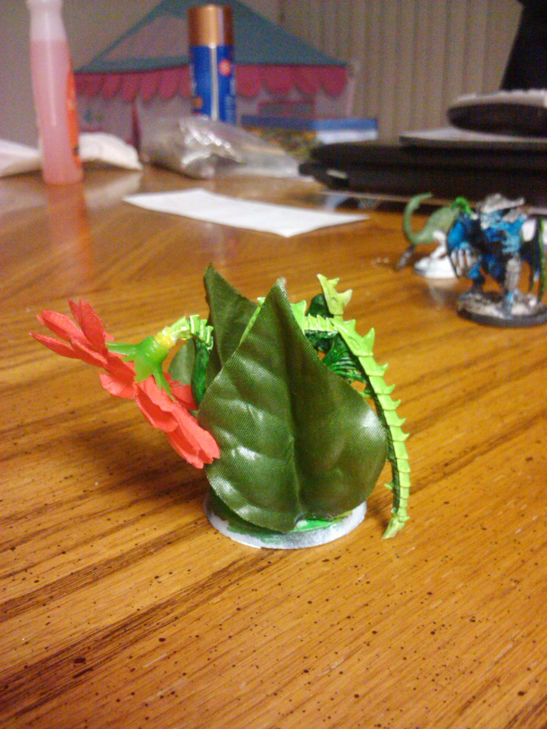 lictor side