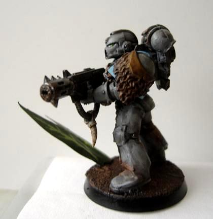 Grey Hunter, Skyrar%2527s Dark Wolves, Skyrar%27s Dark Wolves, Skyrar's Dark Wolves