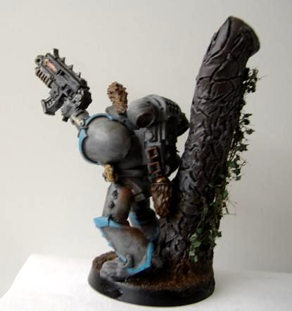 Grey Hunter, Skyrar%27s Dark Wolves, Skyrar's Dark Wolves