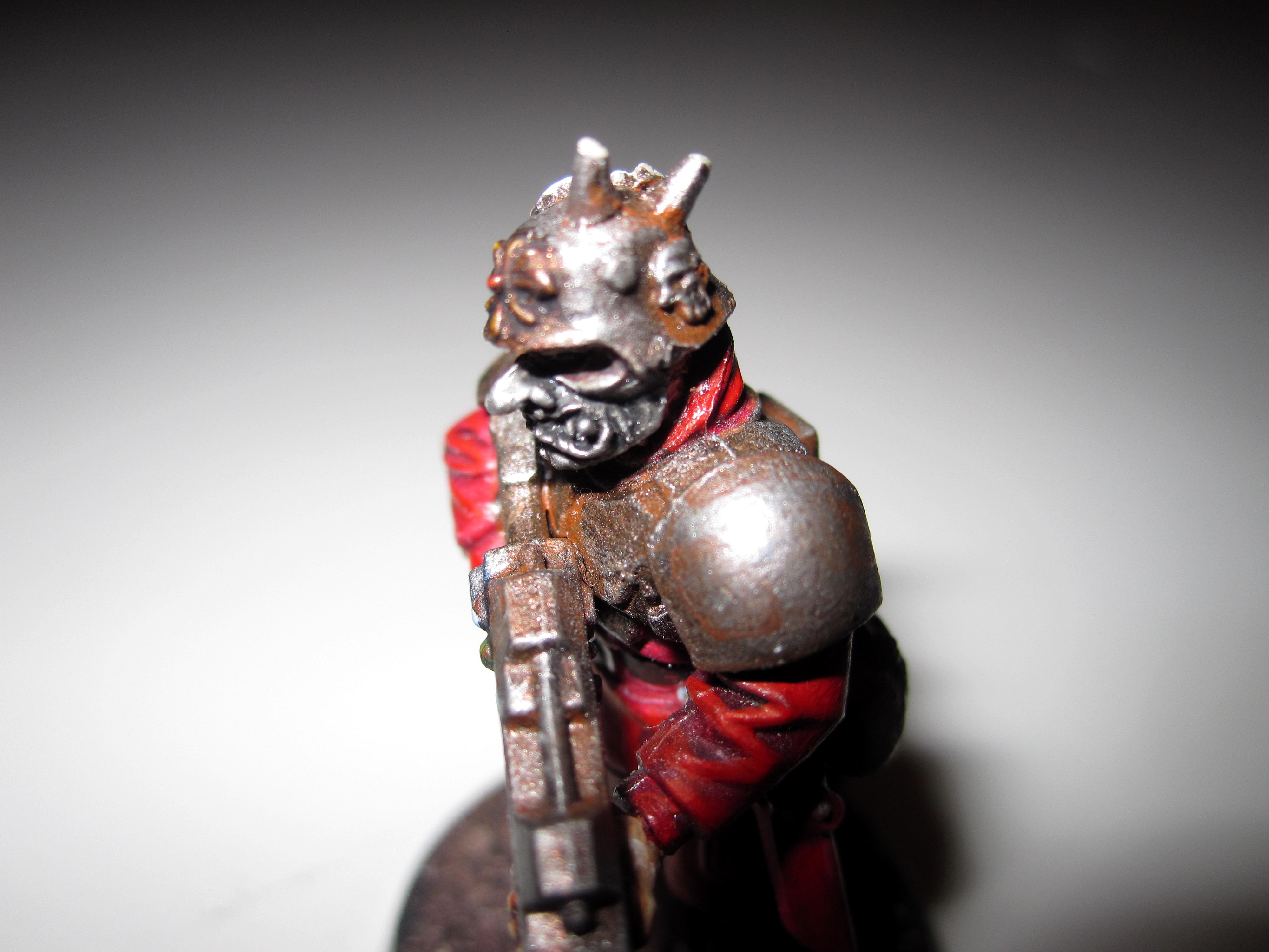 Blood, Chaos, Guard, Imperial, Imperial Guard, Lost And The Damned, Pact, Warhammer 40,000, Warhammer Fantasy