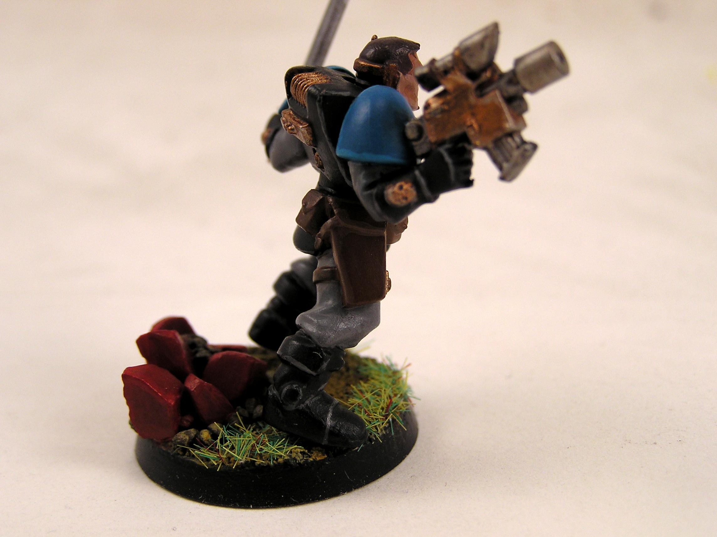 Scouts, Tempest, Warriors