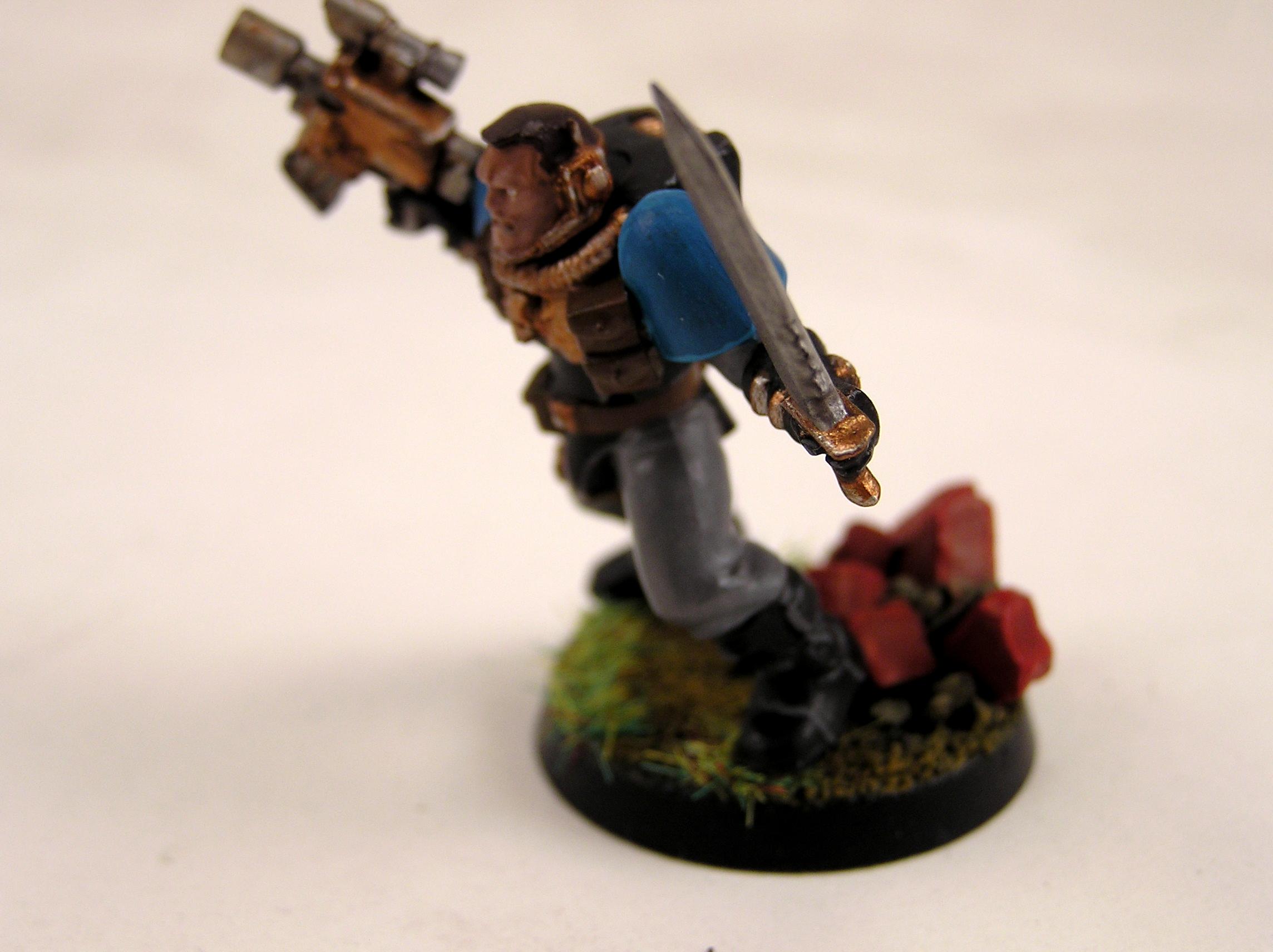 Scouts, Tempest, Warriors