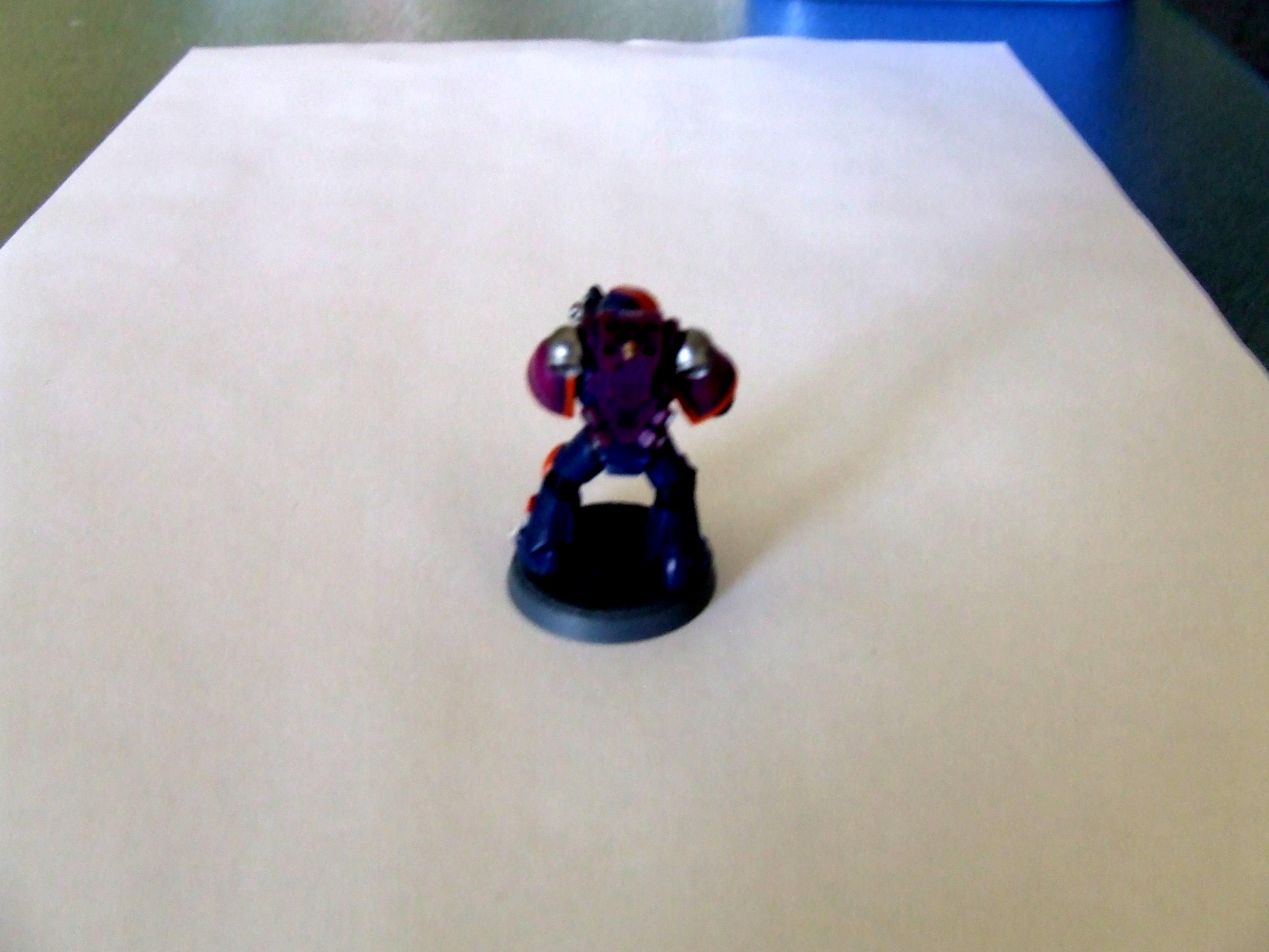 Chapter, Loyalist, Space Marines