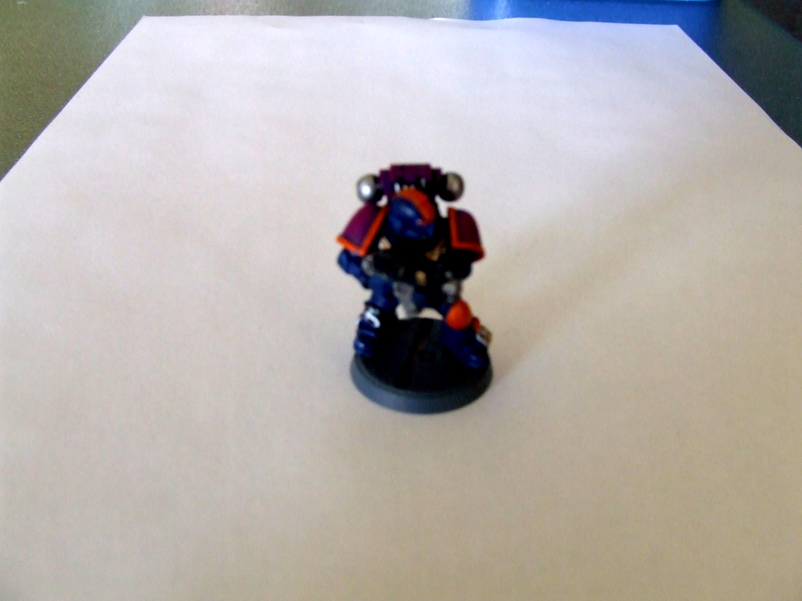 Chapter, Loyalist, Space Marines
