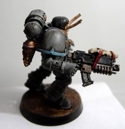Grey Hunter, Skyrar's Dark Wolves