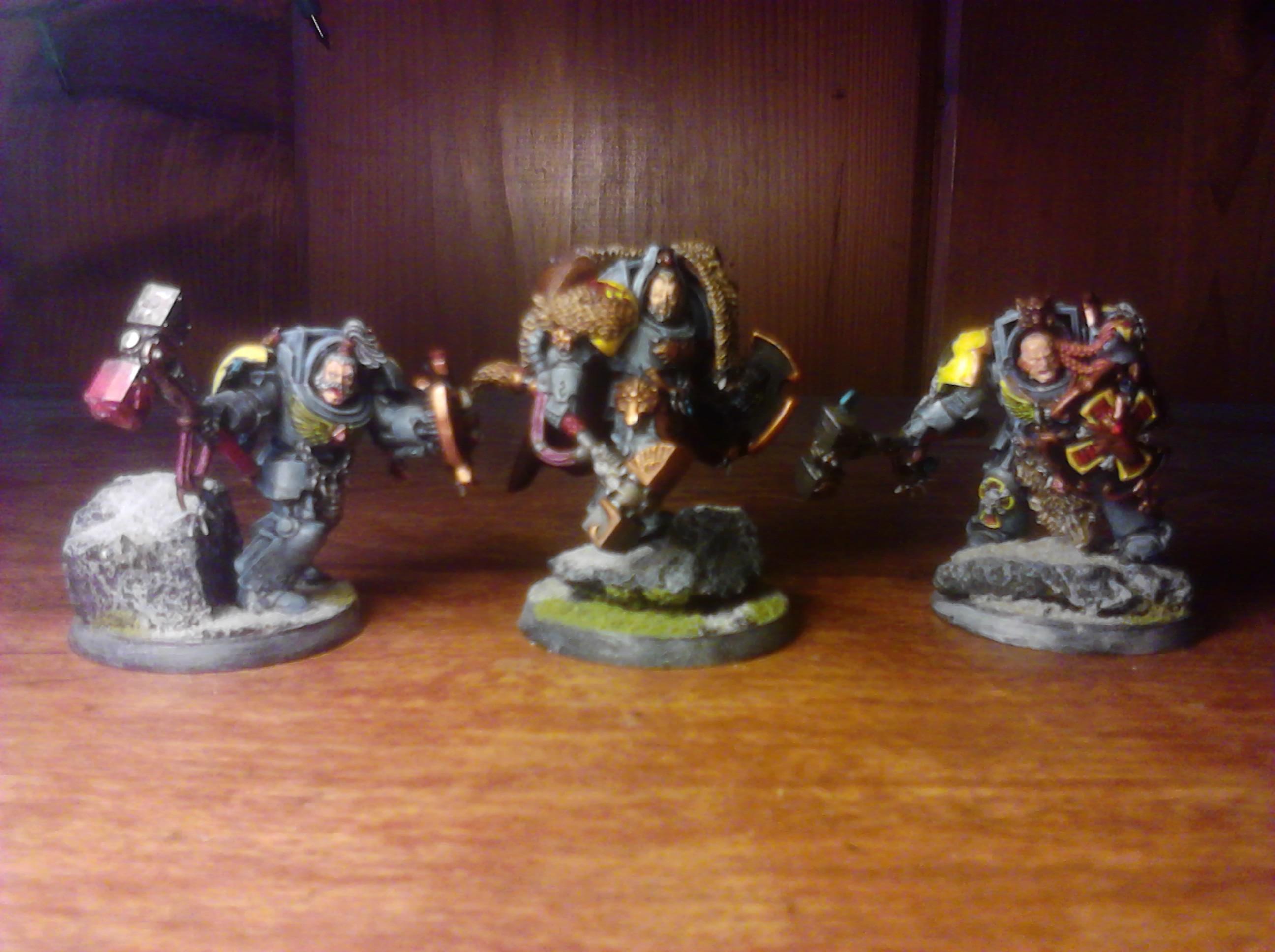 Wolf Guard in Terimantor Armor with TH/SS