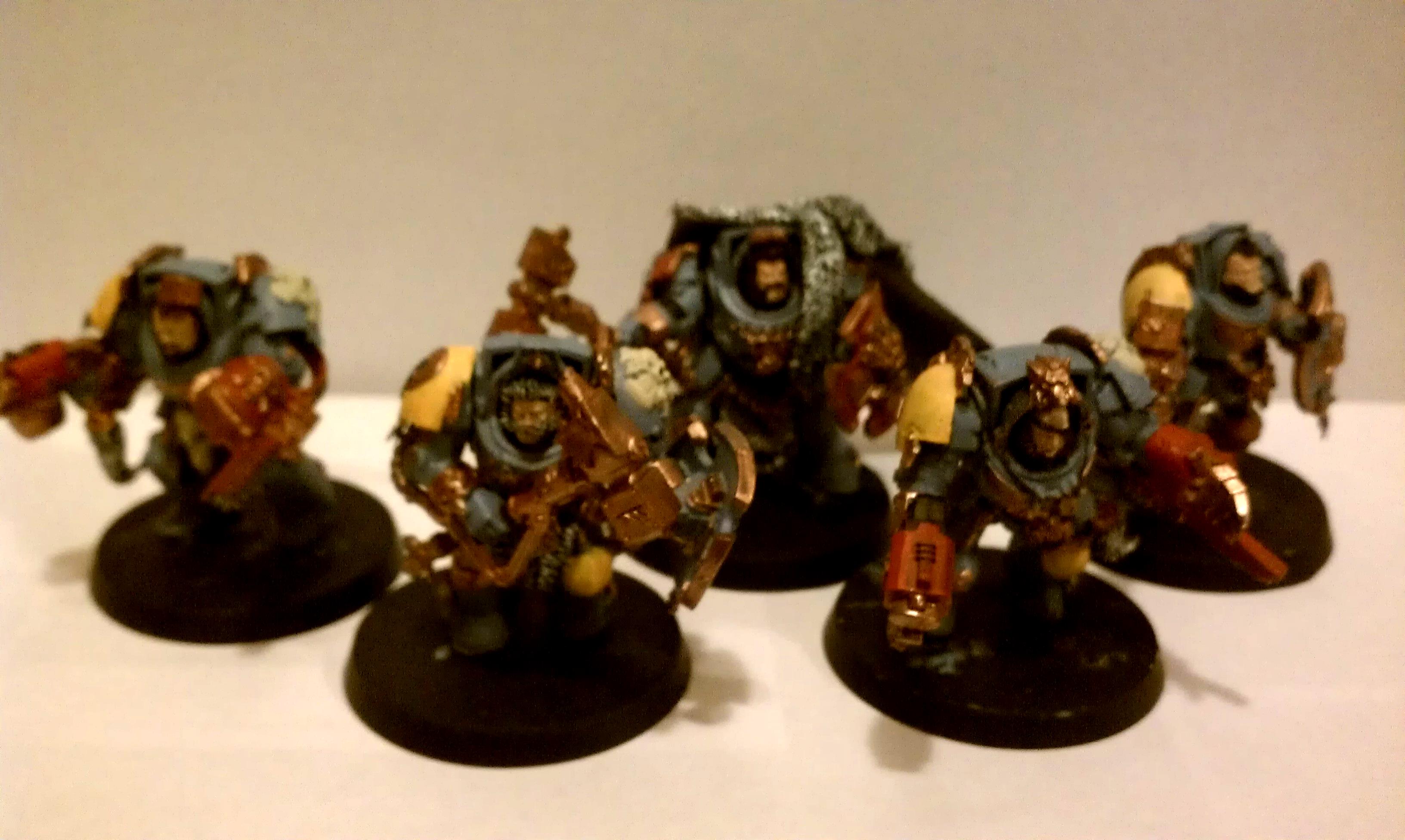 wolfguard in terminator armor