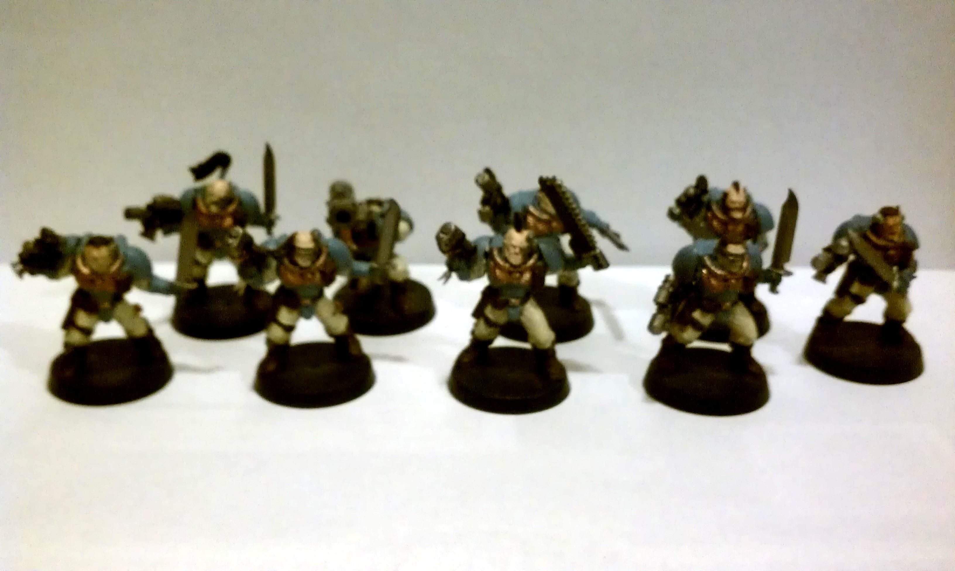 wolfscouts