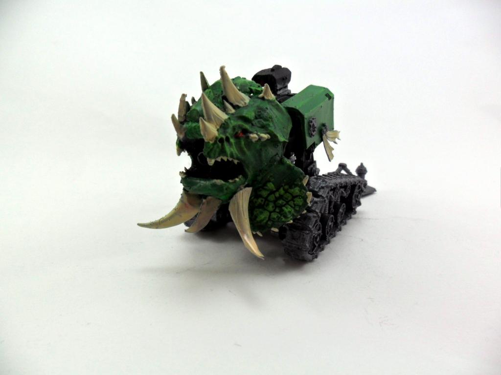Salamanders, TFC08