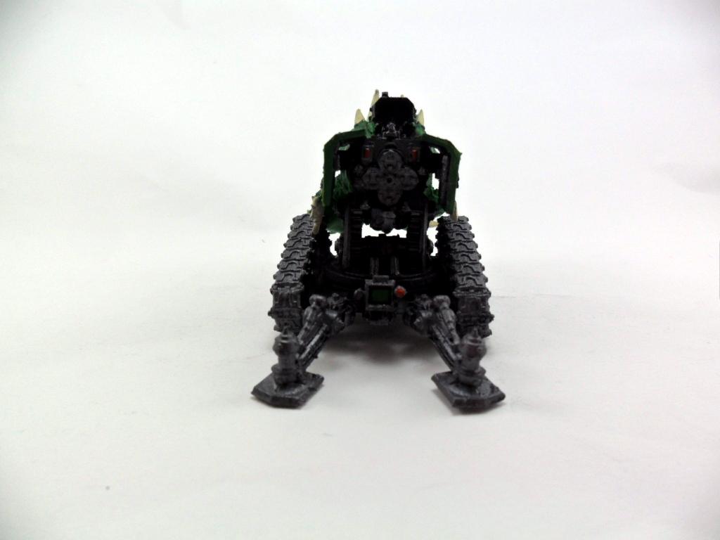 Salamanders, TFC10