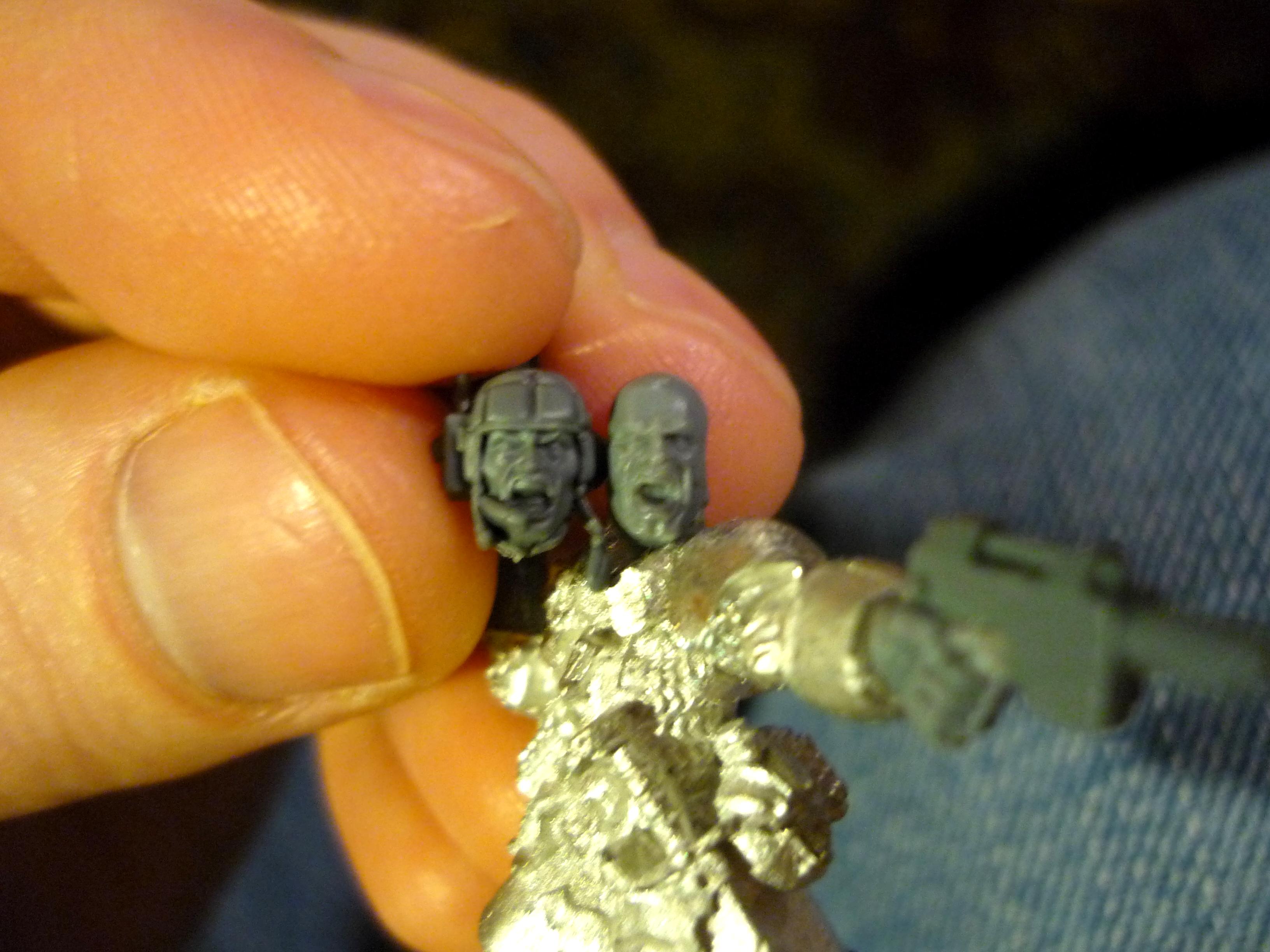 Head Proportions