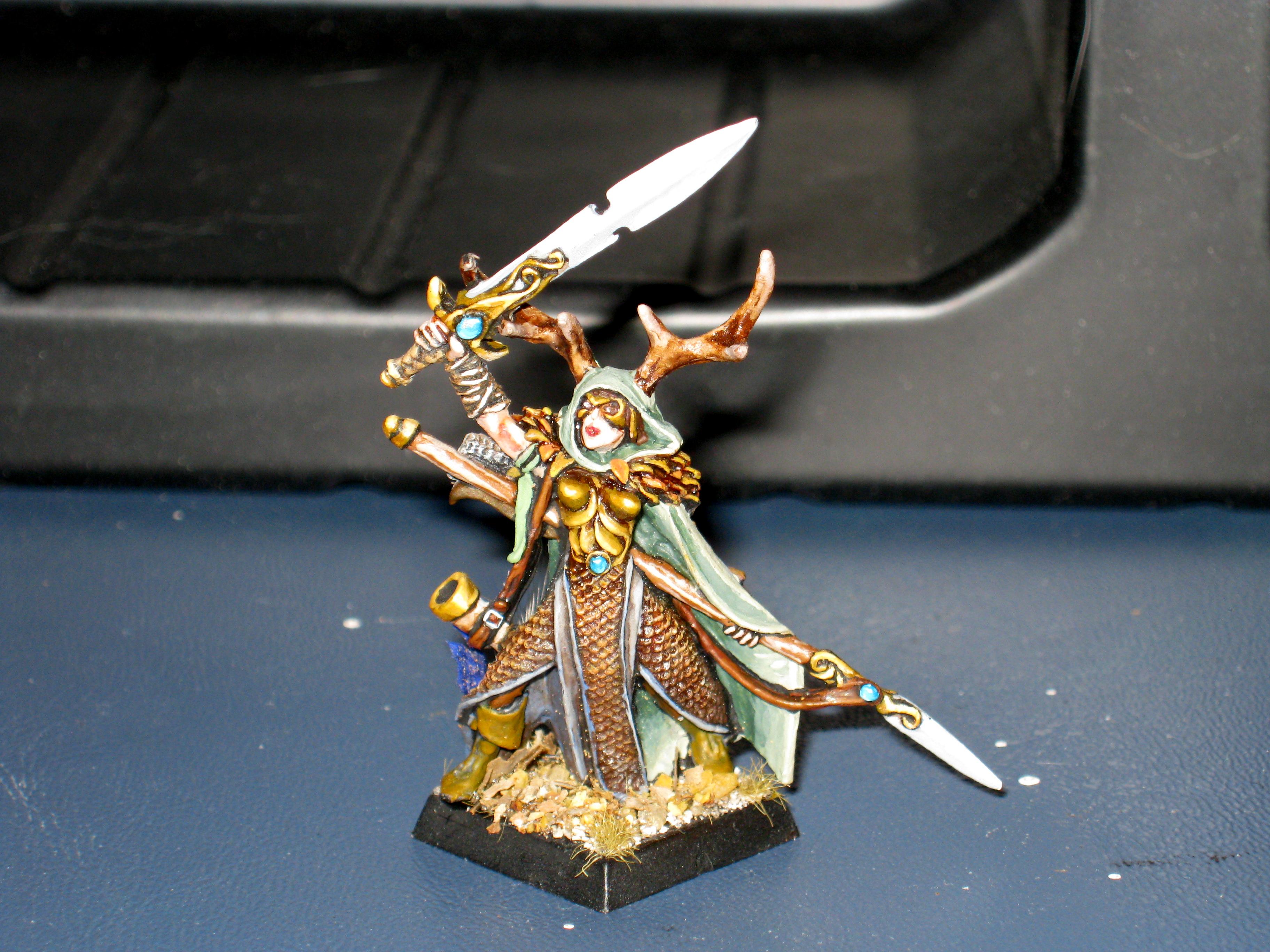 Highborn, Wfb, Wood Elves