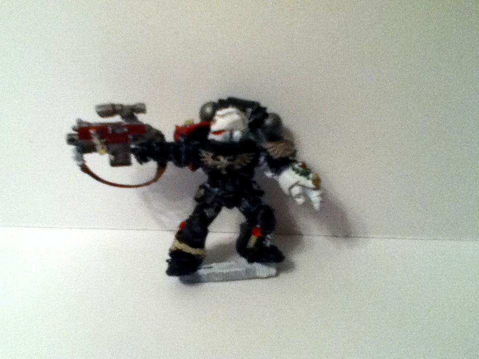 Raven Guard, Sternguard
