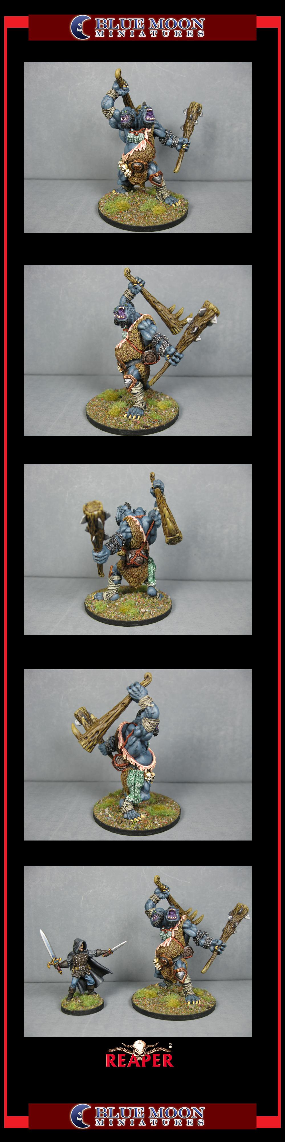 Pathfinders, Pro Painted, Reaper, Reaper Miniatures, Reaper Minis, Rpg, Warhammer Fantasy