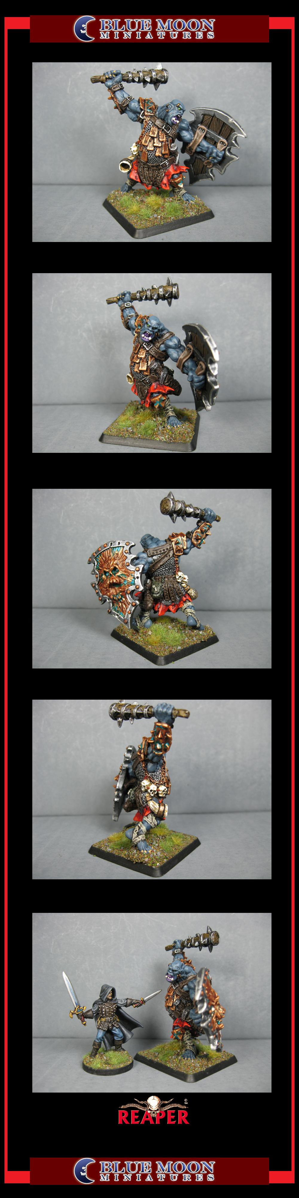 Pathfinders, Pro Painted, Reaper, Reaper Miniatures, Reaper Minis, Rpg, Warhammer Fantasy