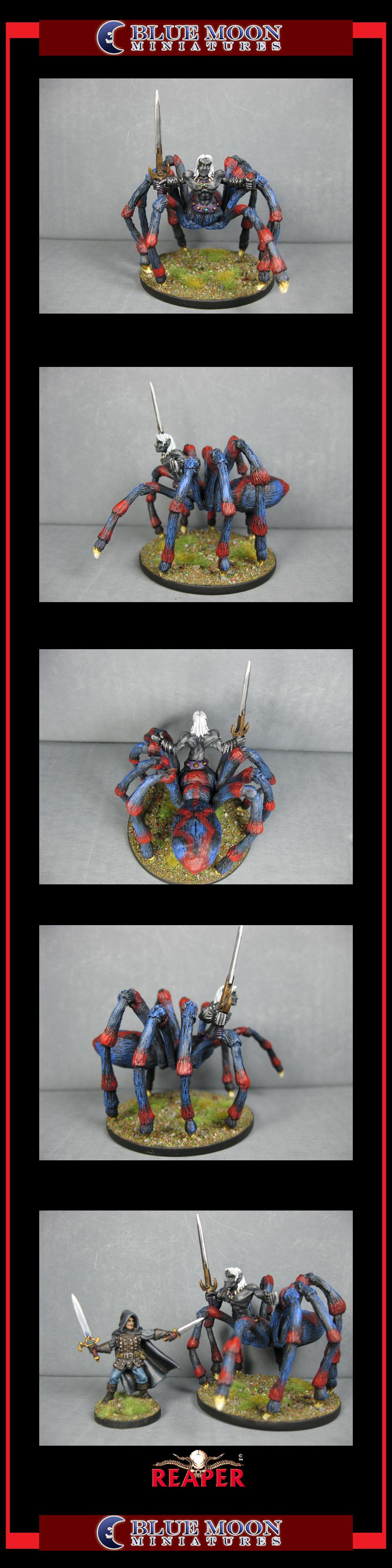 Centaur, Pathfinders, Pro Painted, Reaper, Reaper Miniatures, Reaper Minis, Rpg, Spider, Warhammer Fantasy