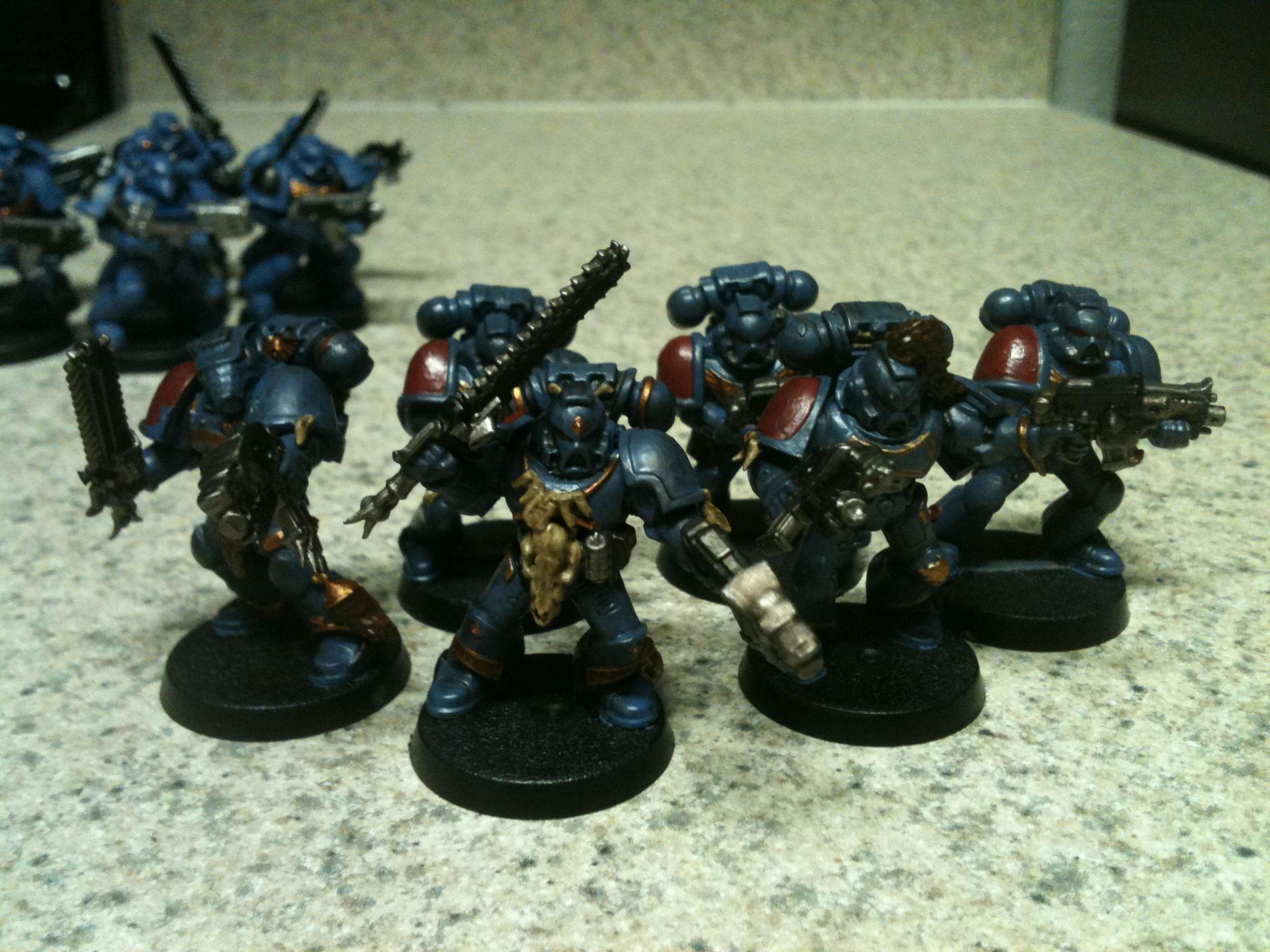 Space Wolves, Space Wolves WIP