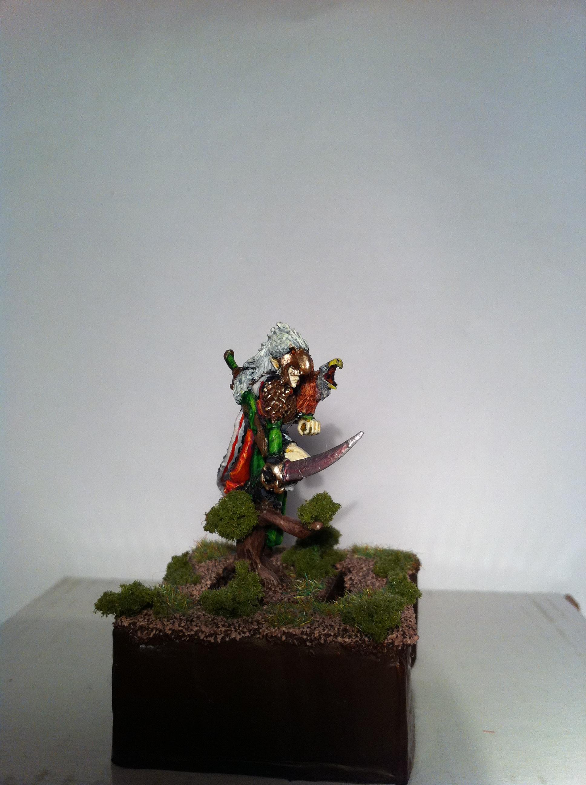 Conversion, Dark Elves, Dreadlord, Green, Hawk, Highborn, Red, Warhammer Fantasy, Wood Elves