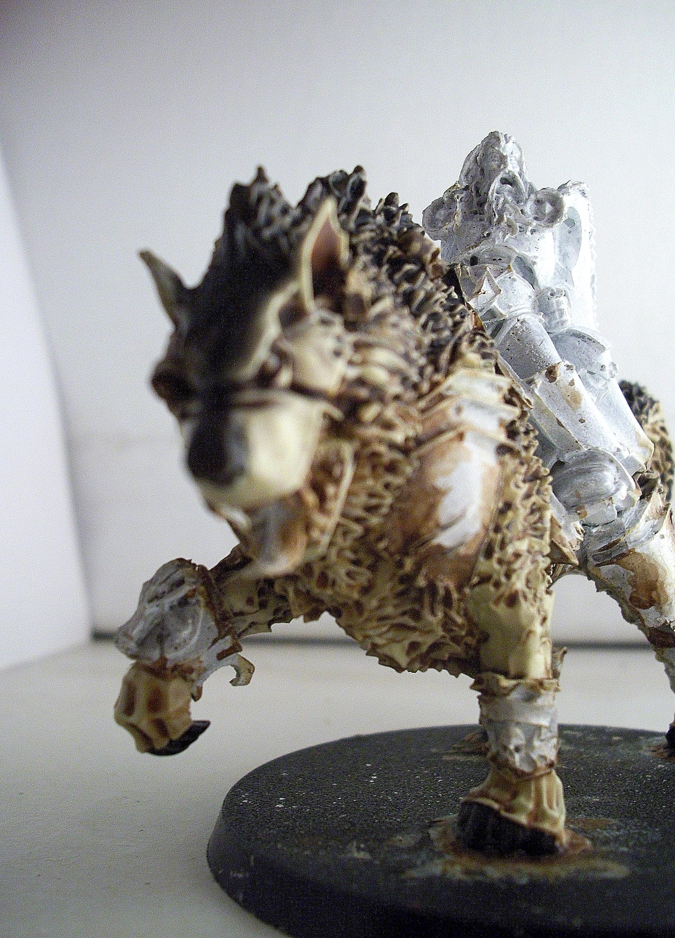 WIP Canis Wolfborn 4