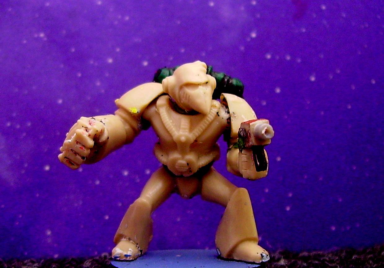 Rogue Trader, Space Marines