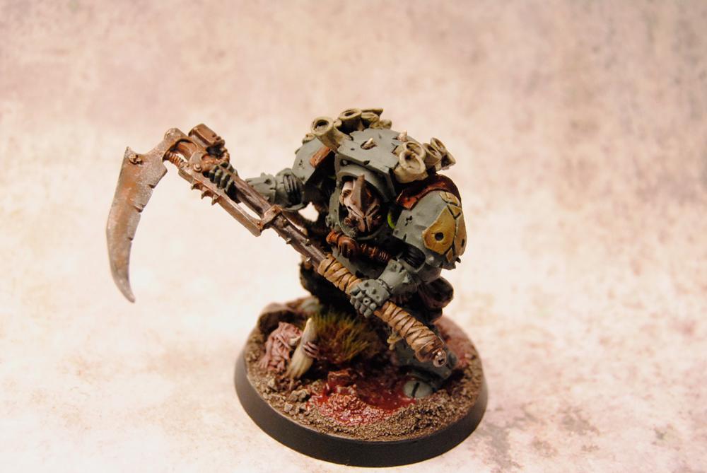 Typhus