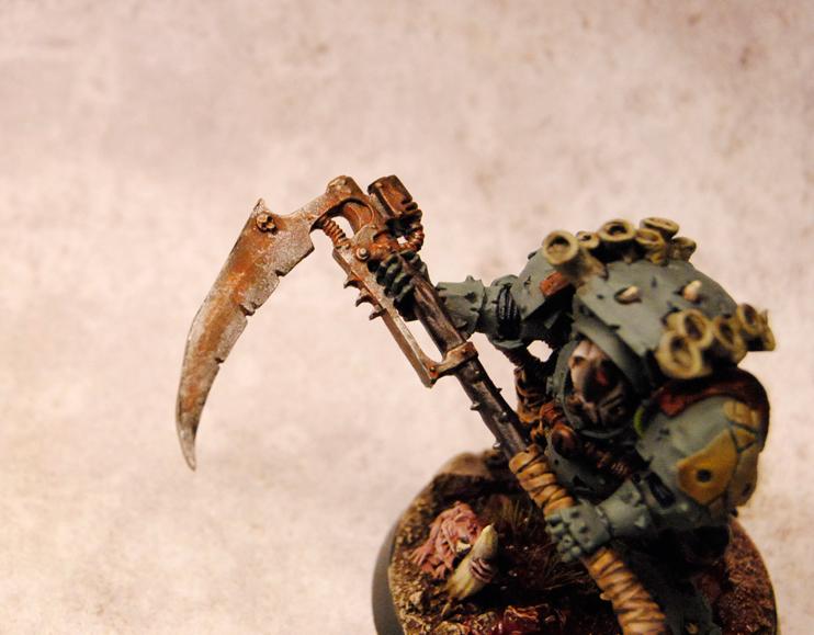 Typhus