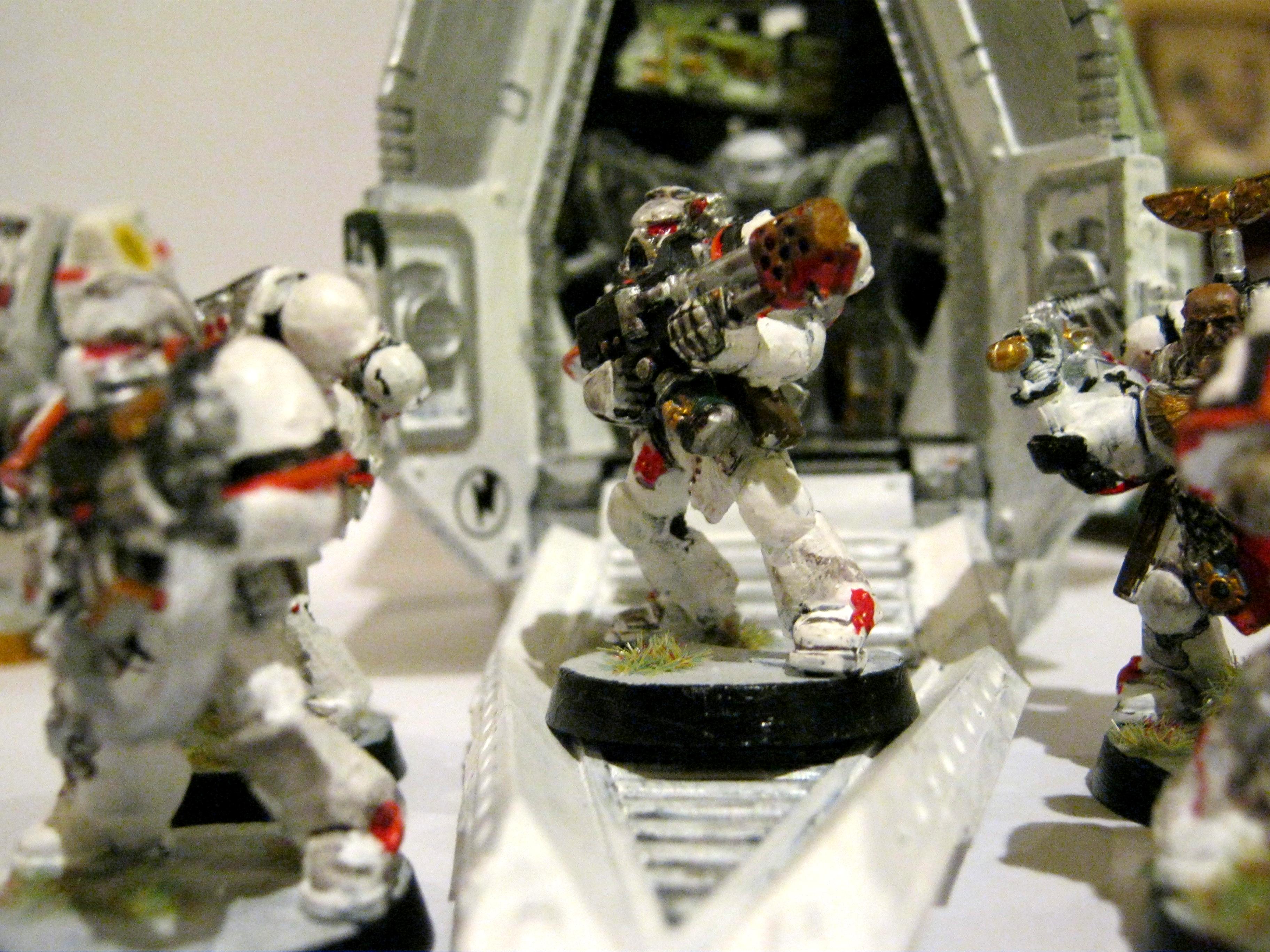 White Scar Flamer