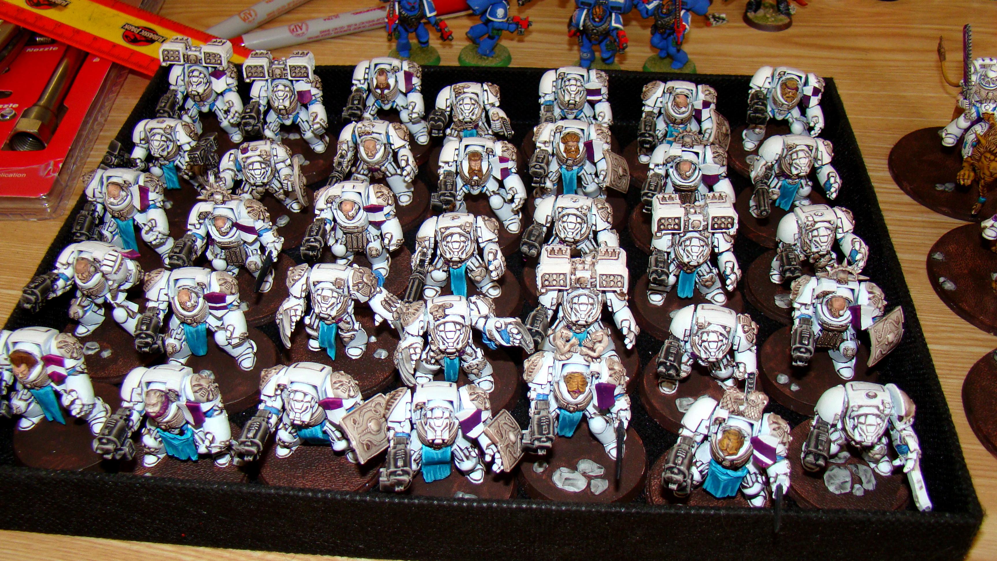 Space Marines, Terminator Armor