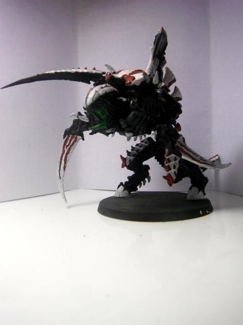 Carnifex