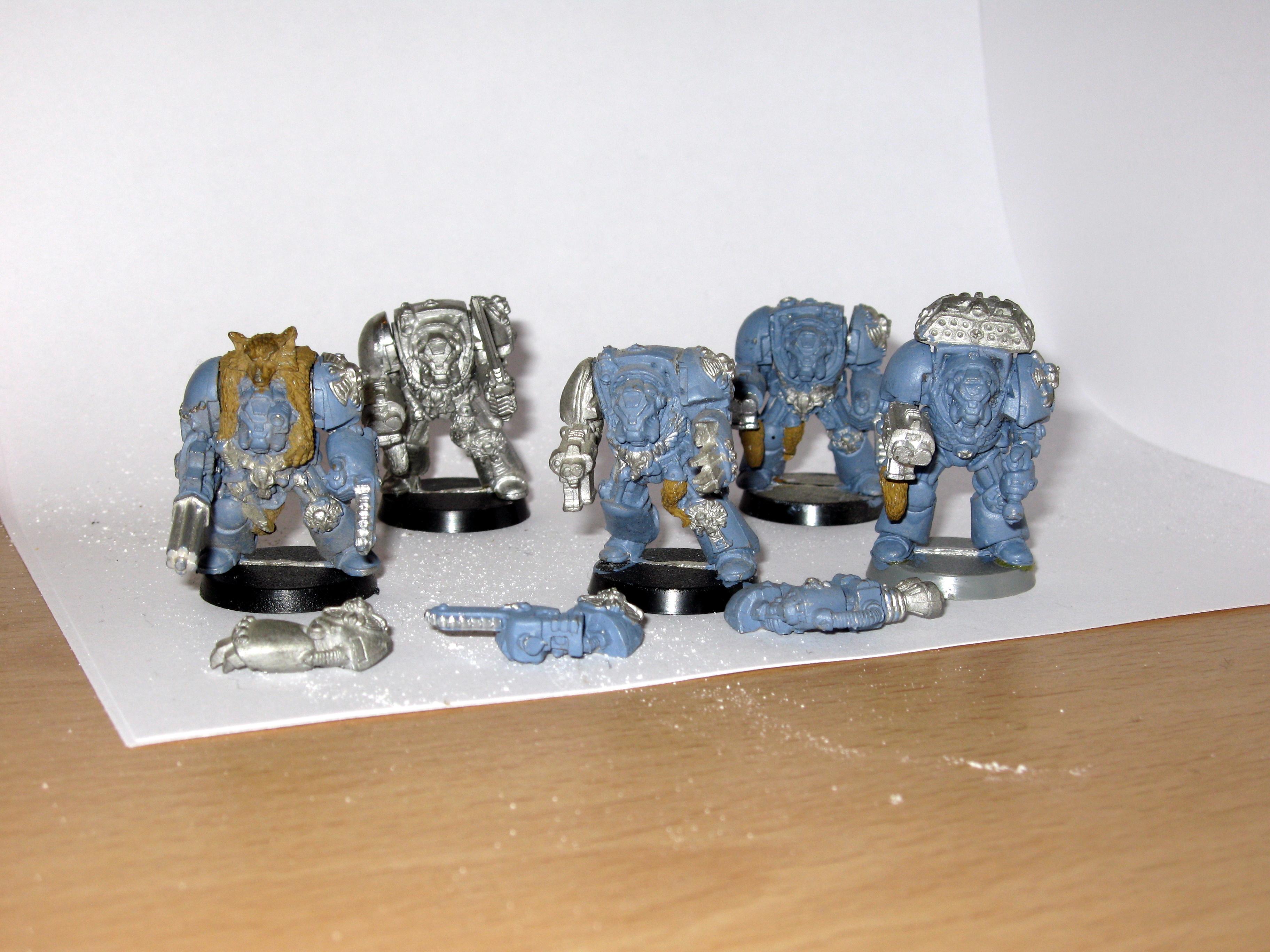 Sw, Wolfguard, Wolfguard