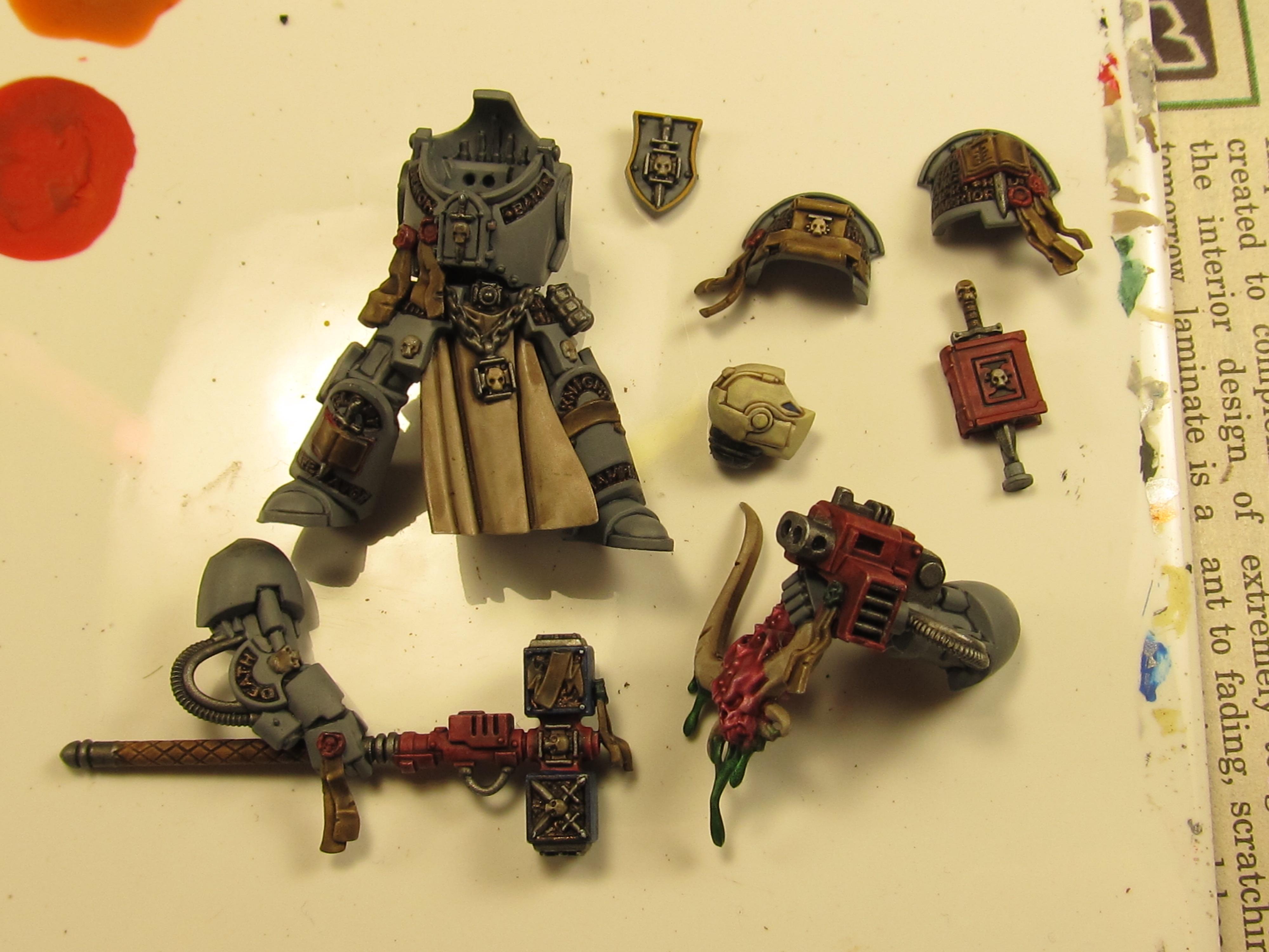 Paladin sgt WIP 2