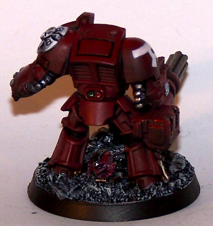 Emperor's Wings, Emperor's Wings Chapter, Space Marines, Terminator Armor, Terminator With Assault Cannon, Work In Progress