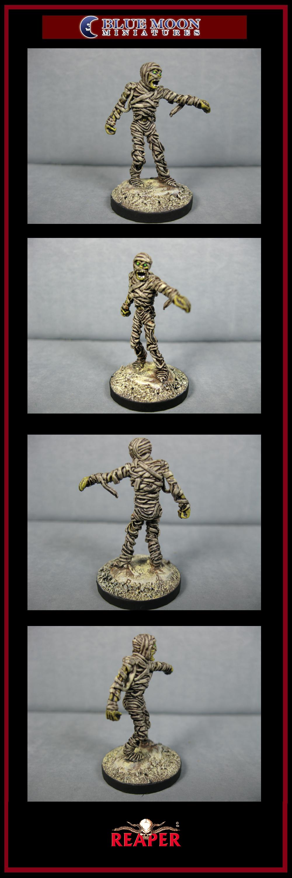 Mummy, Pathfinders, Pro Painted, Reaper, Reaper Miniatures, Reaper Minis, Rpg, Undead, Warhammer Fantasy