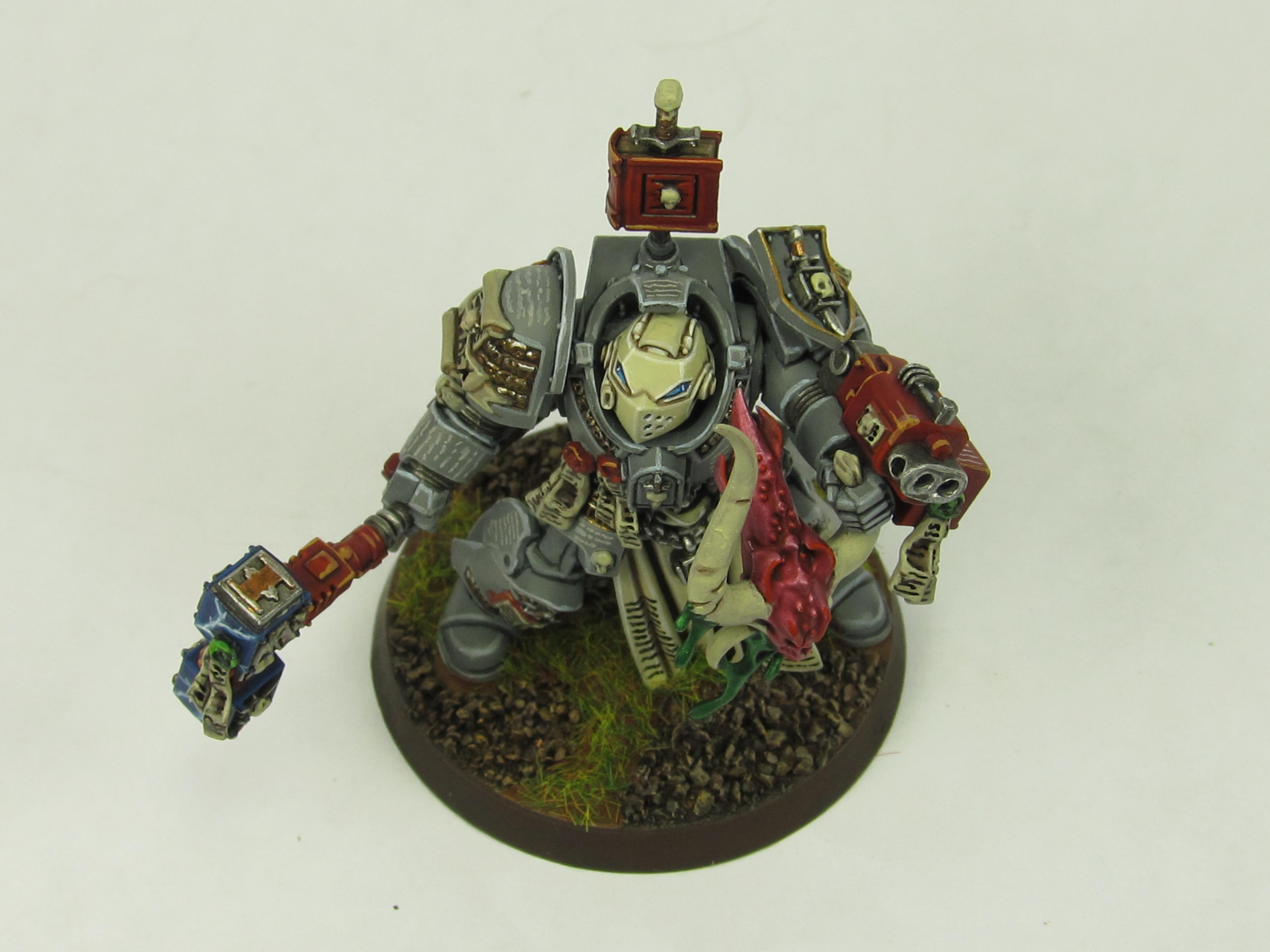 Paladin Sgt top