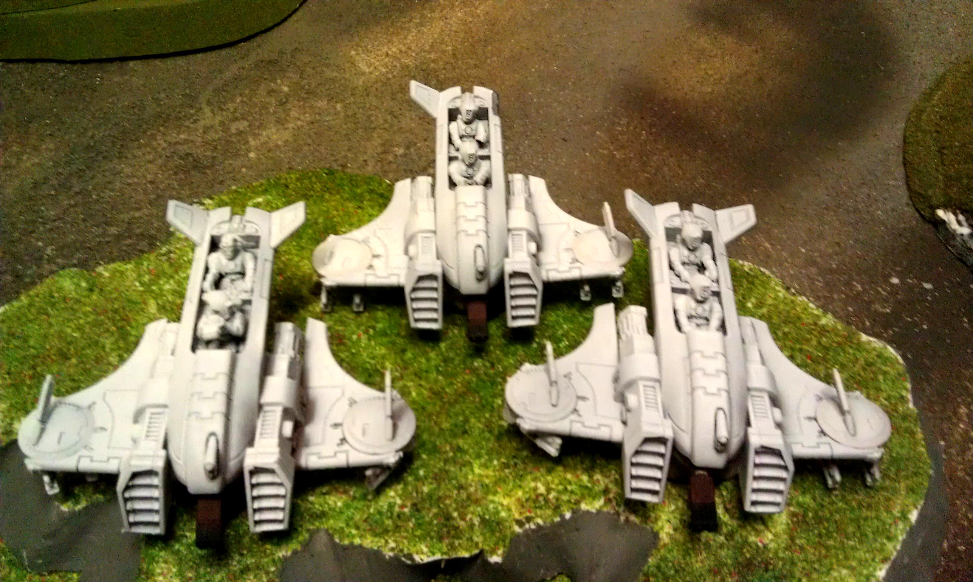 Tau, Roy Pirhanha